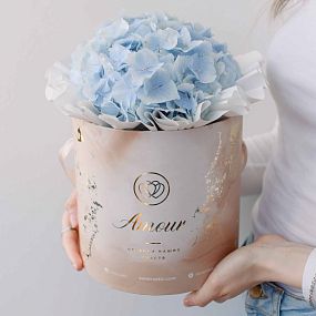 Букет в бежевой шляпной коробке Amour Mini из 3 голубых гортензий