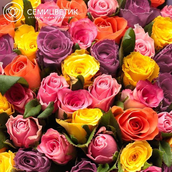 Букет из 51 розы микс 40-50 см (Кения) в сиреневой пленке