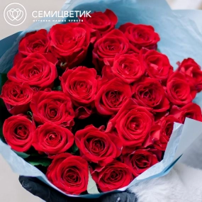 Букет из 25 красных роз 35-40 см (Россия) в голубой пленке