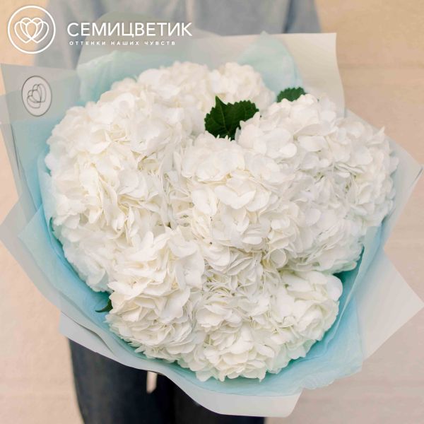 Букет из 7 белых гортензий