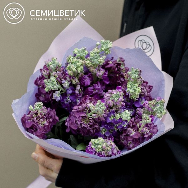 Букет из 11 махровых маттиол микс