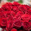 11 красных роз (Эквадор) 70 см Freedom