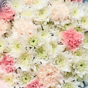 Букет из белых кустовых хризантем и гвоздик в розовой пленке