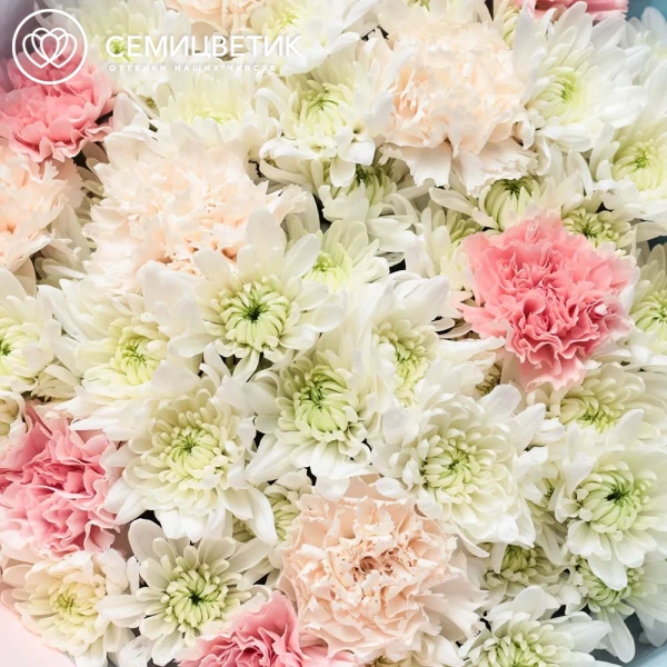 Букет из белых кустовых хризантем и гвоздик в розовой пленке