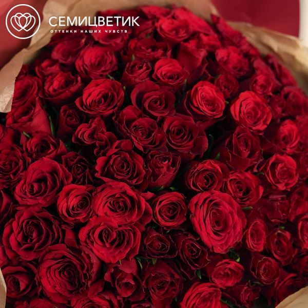 Букет из 101 красной розы 35 см (Кения)