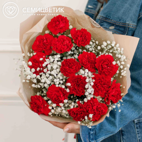 Букет из 15 красных гвоздик и 6 гипсофил в кремовой пленке