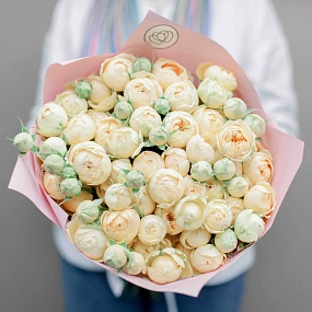 Букет из 25 кремовых кустовых пионовидных роз 70 см (Россия) в розовой пленке