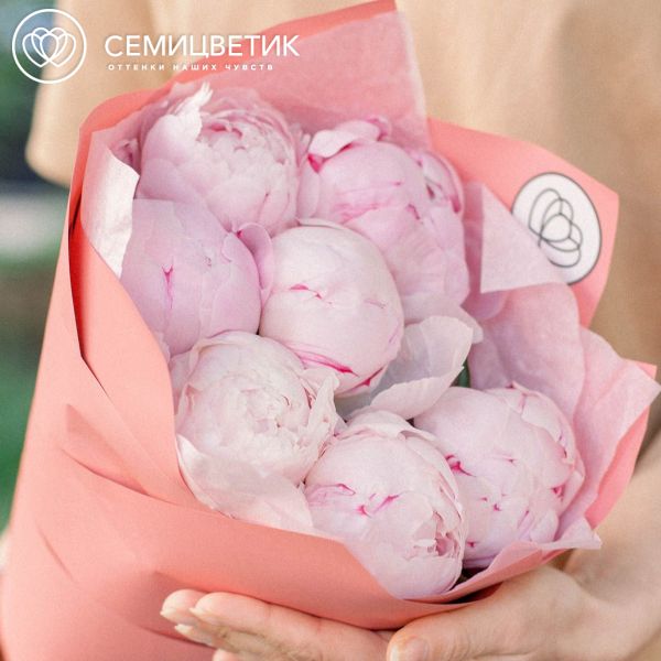 Букет из 7 розовых пионов Premium