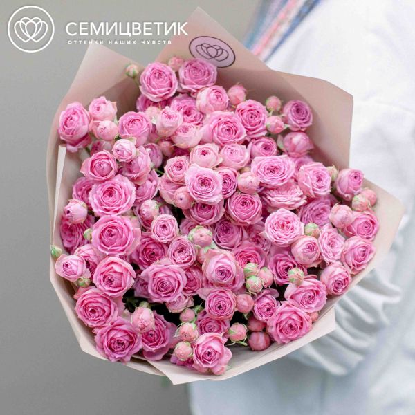 Букет из 15 розовых кустовых пионовидных роз 70 см (Россия) в кремовой пленке
