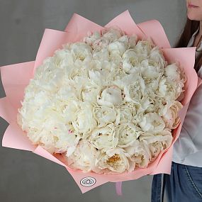 Букет из 51 белого пиона Kelway`s Glorious Premium