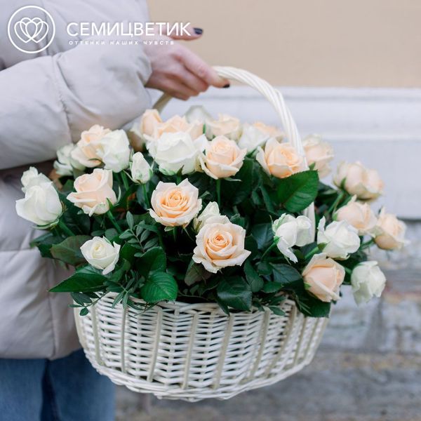 Композиция из 51 белой и кремовой розы (Россия) с фисташкой в корзине