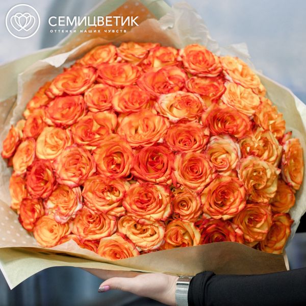 Букет из 51 желтой с красной каймой розы High Magic 50 см (Эквадор)
