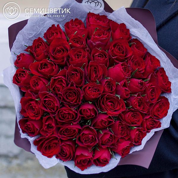 51 красная роза (Кения) 40 см Premium