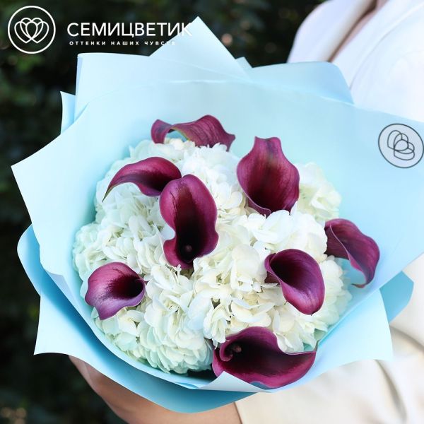 Букет из темно-бордовых калл и белых гортензий