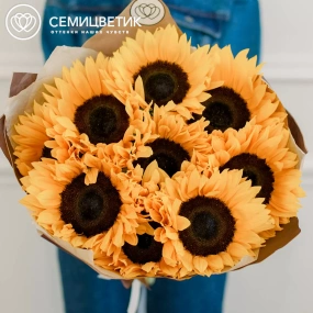 Букет из 9 подсолнухов в упаковке