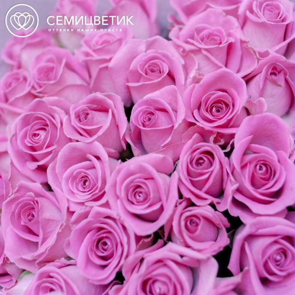 Букет из 35 розовых роз 40 см (Кения)