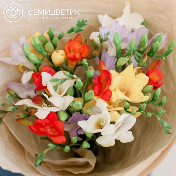 Букет из 15 фрезий микс