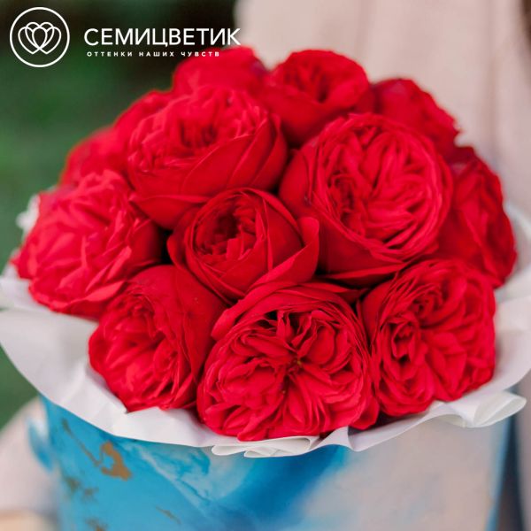 Букет в голубой шляпной коробке Amour Mini из 19 красных пионовидных роз Red Piano
