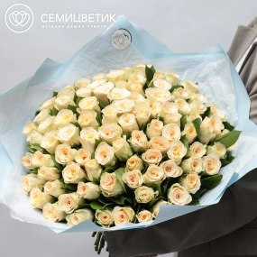 Букет из 101 кремовой розы 30 см (Кения) в голубой пленке