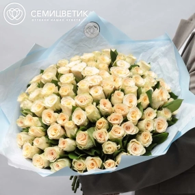 Букет из 101 кремовой розы 30 см (Кения) в голубой пленке