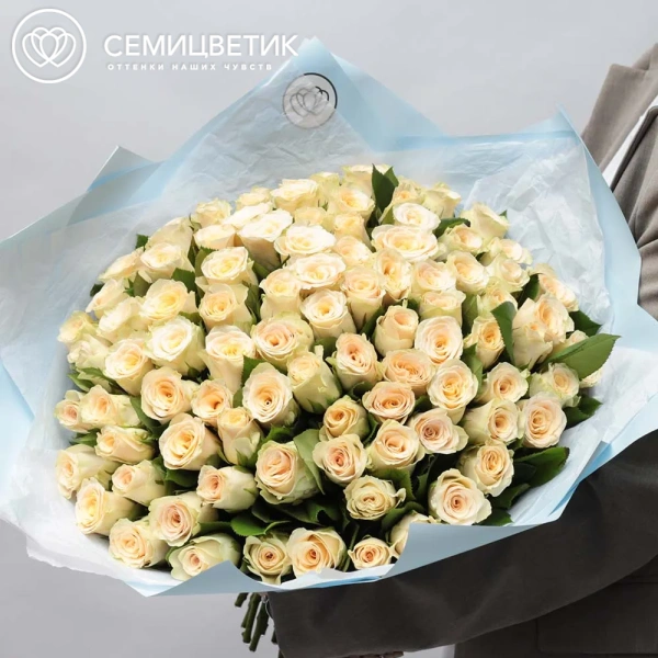 Букет из 101 кремовой розы 30 см (Кения) в голубой пленке