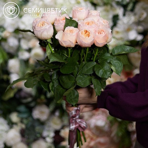 Букет из 11 персиковых пионовидных роз Juliet 50 см (Эквадор)