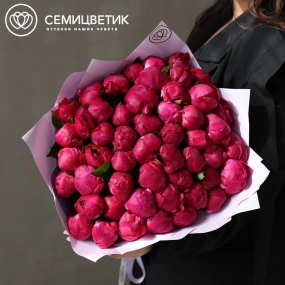 Букет из 51 ярко-розового пиона Red Sarah Bernhardt Premium в розовой упаковке