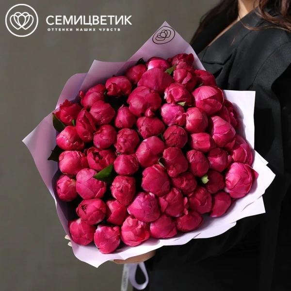 Букет из 51 ярко-розового пиона Red Sarah Bernhardt Premium в розовой упаковке