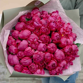 Монобукет  из 51 ярко-розового пиона Standart Plus в зеленой пленке