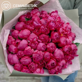 Букет из 51 ярко-розового пиона Standart Plus в зеленой пленке