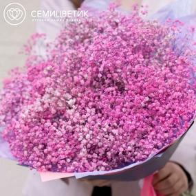 Букет из 25 розовых гипсофил в сиреневой пленке