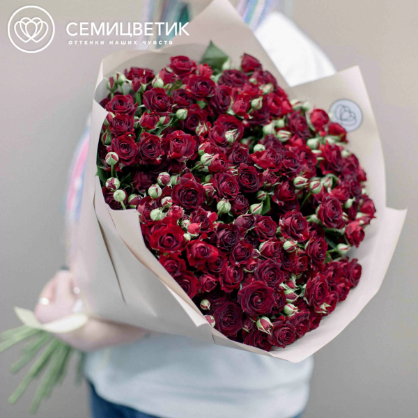 Букет из 25 красных кустовых роз 70 см (Россия) в кремовой пленке