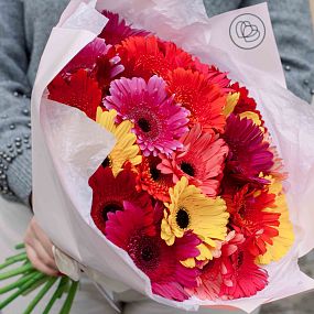 Монобукет  из 25 гербер микс