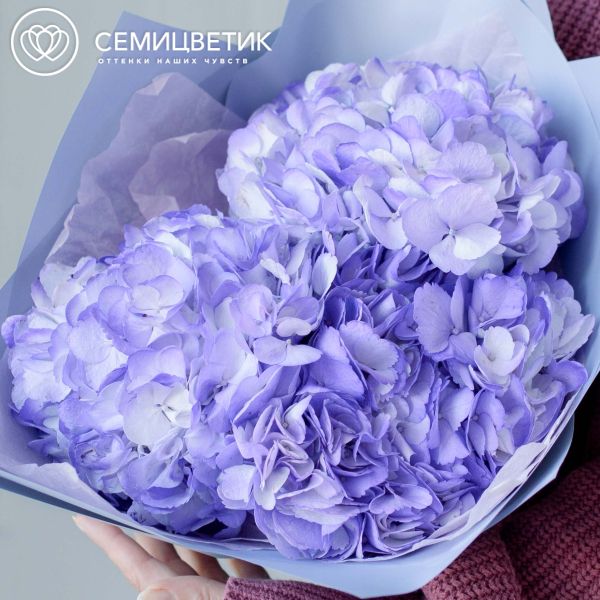Букет из 3 фиолетовых гортензий