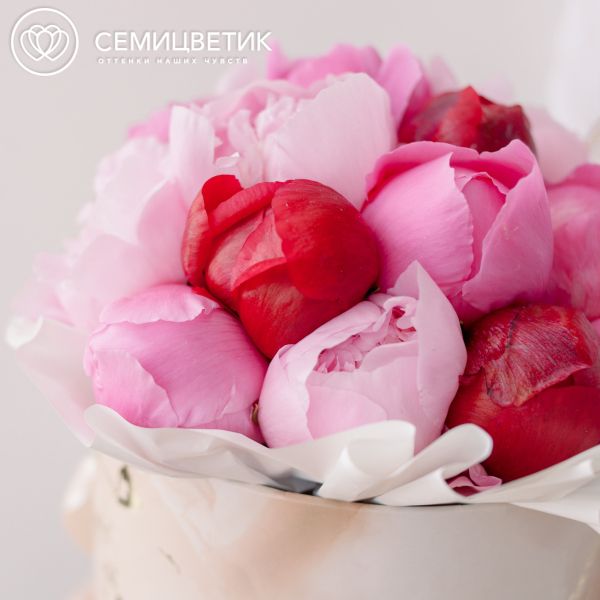 Букет в бежевой шляпной коробке Amour Mini из 21 пиона микс Standart Plus