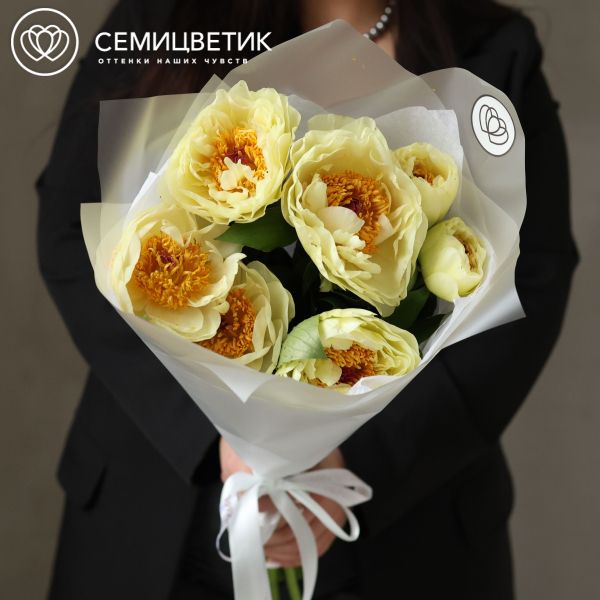 Букет из 7 лимонных пионов Lemon Chiffon Premium