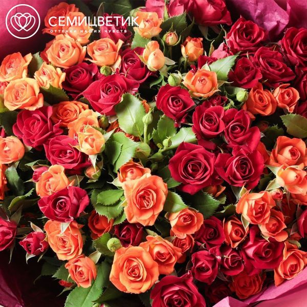 Букет из 23 красных и оранжевых кустовых роз 40 см (Кения)