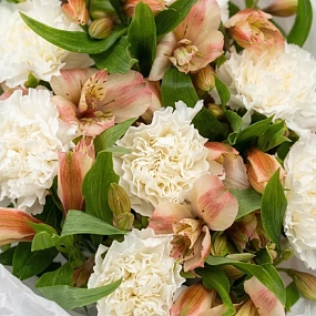 Букет из кремовых диантусов и розовых альстромерий в круглой прозрачной упаковке