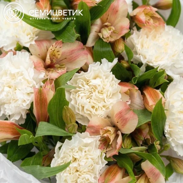 Букет из кремовых диантусов и розовых альстромерий в круглой прозрачной упаковке