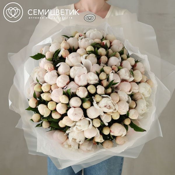 Букет из 101 нежно-розового пиона Standart Plus