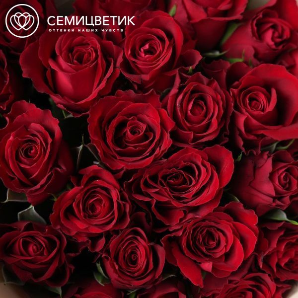 Букет из 25 красных роз 40 см (Кения)