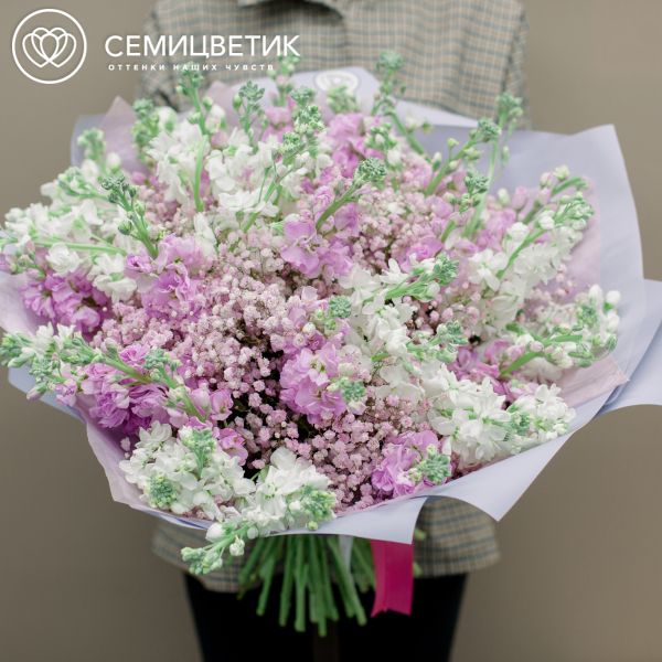 Букет из 51 маттиолы и 5 розовых гипсофил