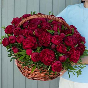 Композиция из 51 пиона Standart в корзине