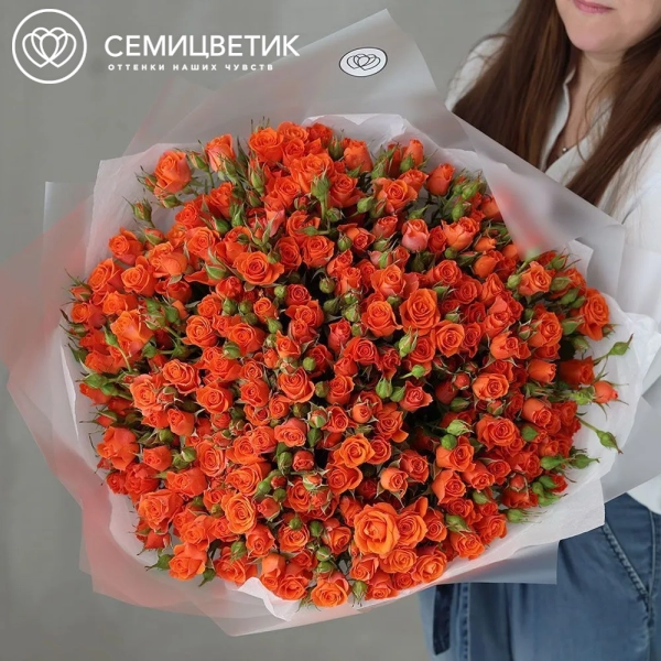 Букет из 51 оранжевой кустовой розы 40-50 см (Россия) в прозрачной упаковке