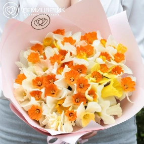 Букет из 51 нарцисса в розовой пленке