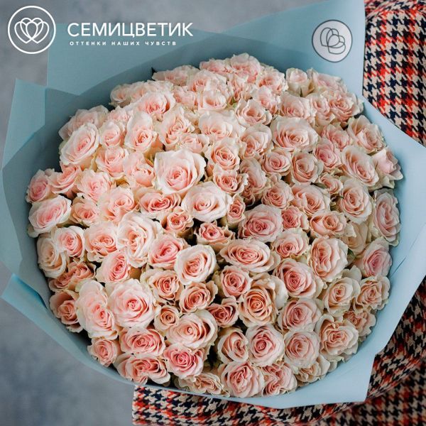 Букет из 101 нежно-розовой розы 40 см (Кения) в голубой пленке