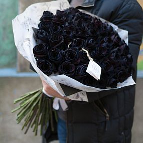 Букет из 51 черной розы 60 см (Эквадор)