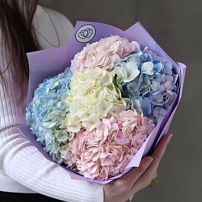 Букет из 5 гортензий нежный микс