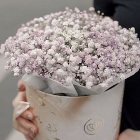 Букет в бежевой шляпной коробке Amour Mini из 7 сиреневых гипсофил