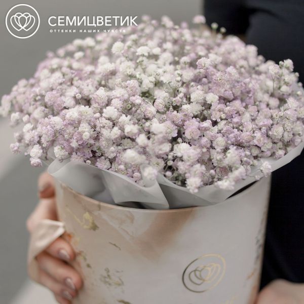 Букет в бежевой шляпной коробке Amour Mini из 7 сиреневых гипсофил